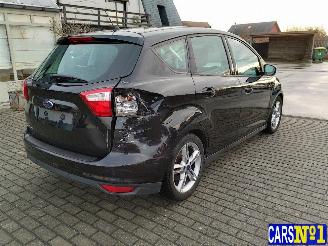 Ford C-Max  picture 4