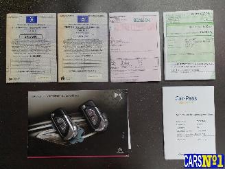 DS Automobiles DS 3  picture 25