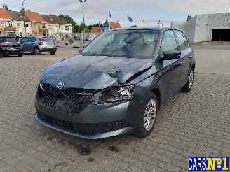 krockskadad bil auto Skoda Fabia  2019/12