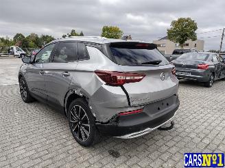Opel Grandland (X) picture 6