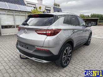 Opel Grandland (X) picture 4