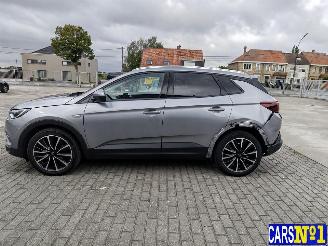 Opel Grandland (X) picture 7