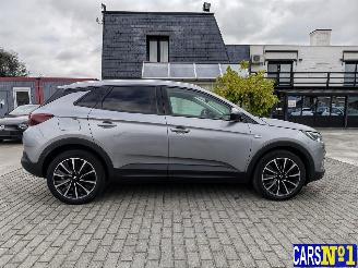 Opel Grandland (X) picture 8