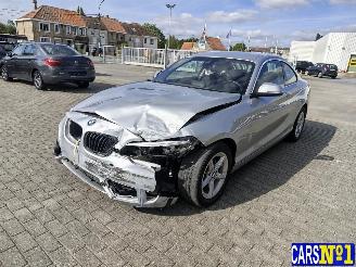 Unfallwagen BMW 2-serie  2018/6