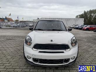 Mini Paceman  picture 2