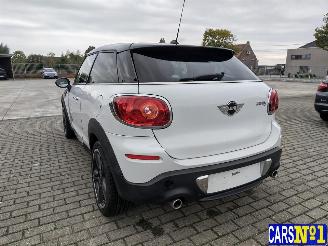 Mini Paceman  picture 6