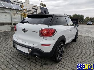 Mini Paceman  picture 4