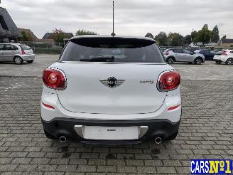Mini Paceman  picture 5