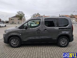 Peugeot Rifter  picture 14