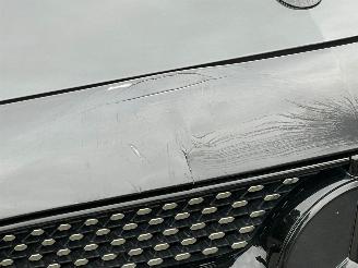 Mercedes E-klasse 300 de AMG LINE WIDESCREEN NIGHT LED picture 14