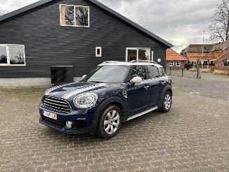 Schadeauto Mini Countryman 1.5 Cooper NAVI CLIMA CAMERA PDC B.J 2019 2019/7