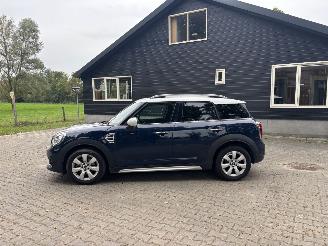 Mini Countryman COOPER 1.5 EDITION NAVI CLIMA CAMERA LED KEYLESS B.J 2019 picture 6