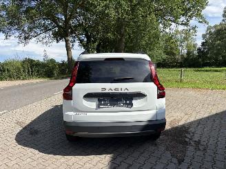Dacia Jogger TCE 110 PK EXTREEM NAVI CLIMA CAMERA PDC B.J 06-2024 picture 7