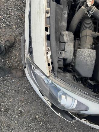 Kia Rio  picture 19