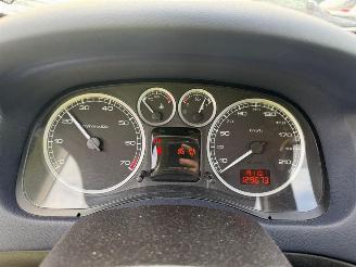 Peugeot 307  picture 26