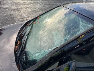 Seat Ibiza  picture 12