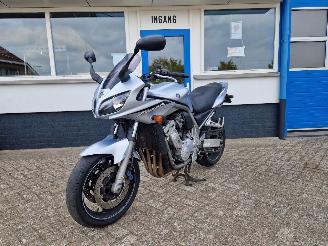 Yamaha  FZS 1000 FAZER picture 13