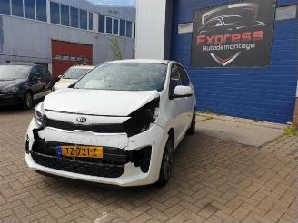 Sloopauto Kia Picanto Picanto (JA), Hatchback, 2017 1.0 12V 2018/11