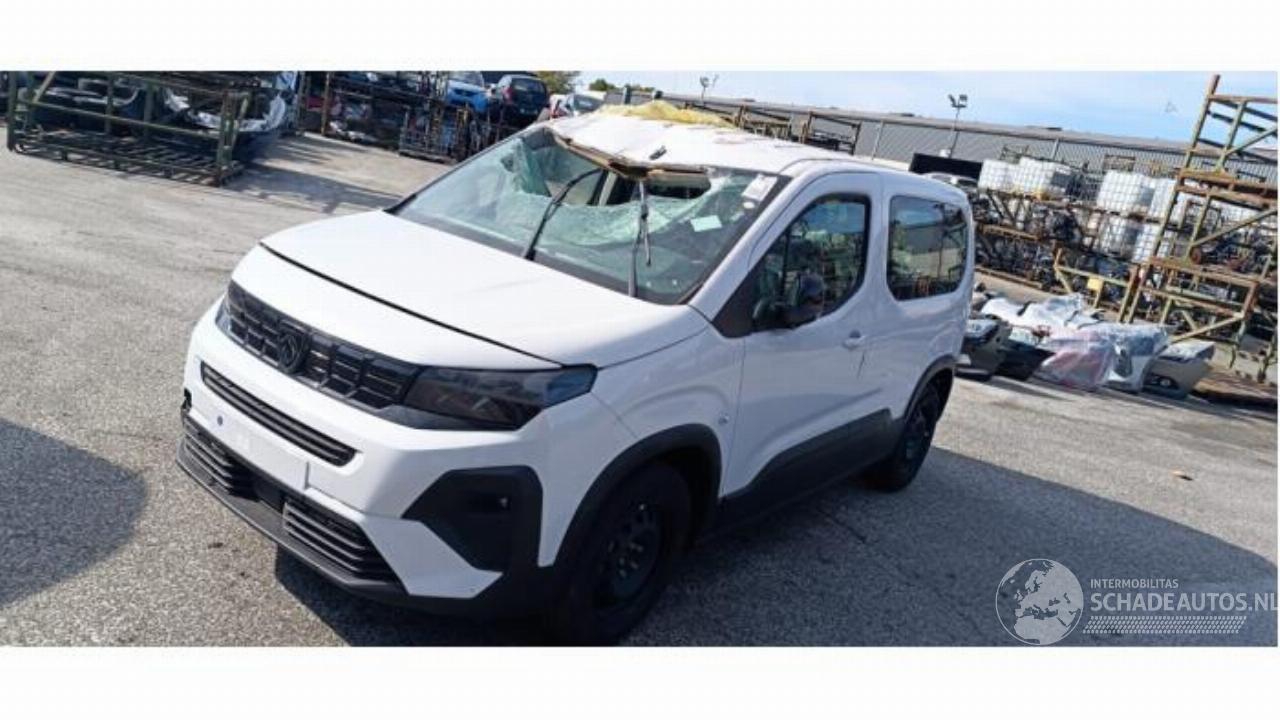 Peugeot Rifter Rifter (ER/EC/EZ), MPV, 2018 e-Rifter