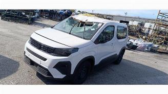 Vrakbiler auto Peugeot Rifter Rifter (ER/EC/EZ), MPV, 2018 e-Rifter 2025/8