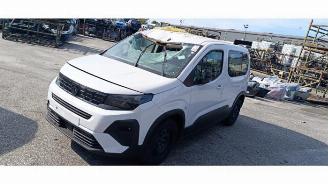  Peugeot Rifter Rifter (ER/EC/EZ), MPV, 2018 e-Rifter 2025