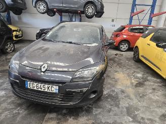 Renault Mégane  picture 2