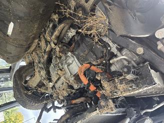 Renault Clio  picture 15