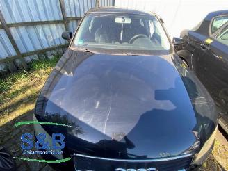 Audi A3 A3 (8P1), Hatchback 3-drs, 2003 / 2012 2.0 16V FSI picture 10