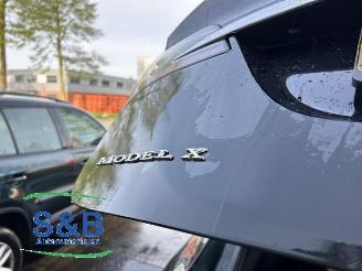 Tesla Model X Model X, SUV, 2013 / 2026 100D picture 34