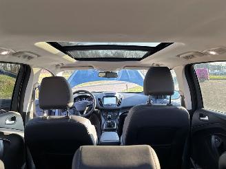 Ford Kuga 1.5 EcoBoost 16V 150 SUV  Benzine 1.499cc 110kW (150pk) FWD picture 21