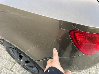 Seat Ibiza 1.2 TSI Hatchback 4Dr Benzine 1,197cc 77kW (105pk) FWD 2010-09/2012-03 (6J5) CBZB picture 13