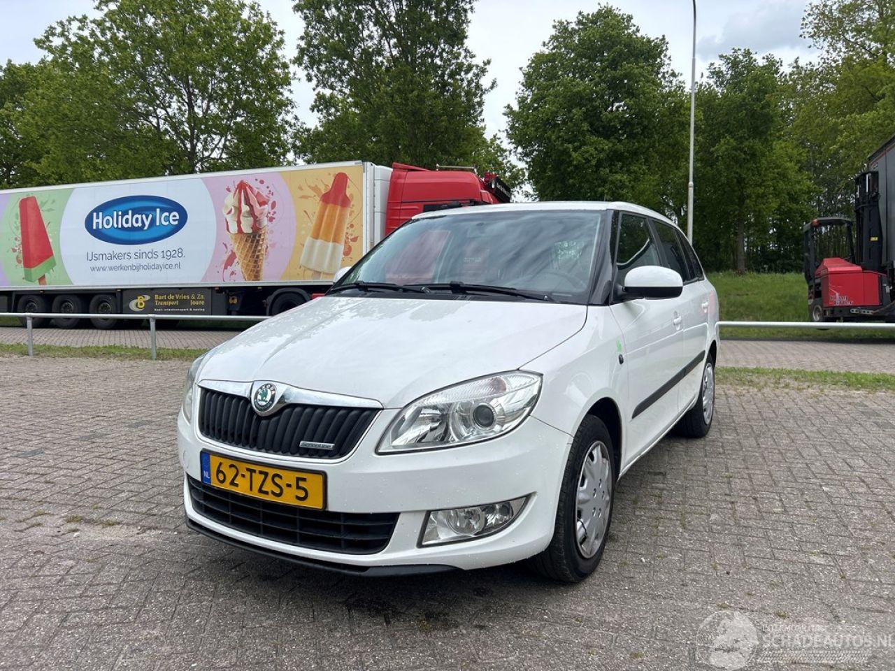 Skoda Fabia TMBJK25J3C3146746