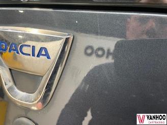 Dacia Lodgy  picture 18