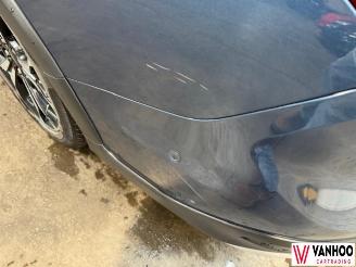 Ford Focus  picture 10