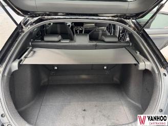 Honda Civic  picture 10