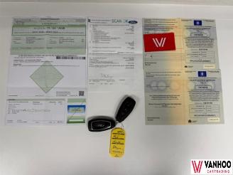 Ford Fiesta  picture 20