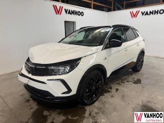 Coche accidentado Opel Grandland X 2023/8