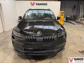 Skoda Karoq  picture 2