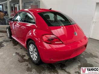 Volkswagen Beetle  picture 10