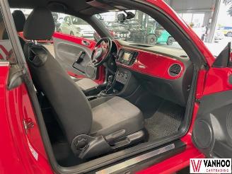 Volkswagen Beetle  picture 19