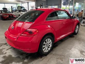 Volkswagen Beetle  picture 8