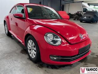Volkswagen Beetle  picture 7