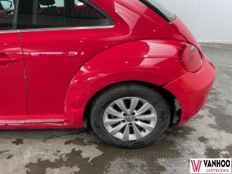 Volkswagen Beetle  picture 11