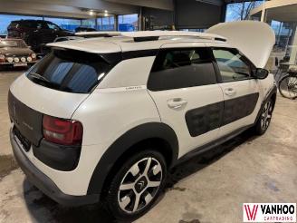 Citroën C4 CACTUS picture 8