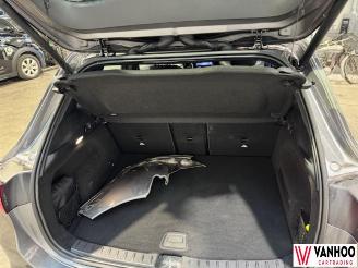 Mercedes EQA  picture 18