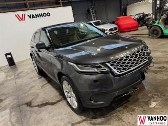 Land Rover Range Rover ROVER VELAR picture 4