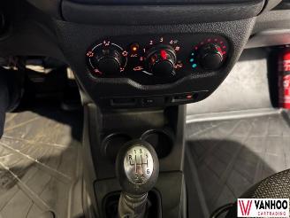 Dacia Dokker  picture 21