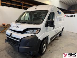 skadebil auto Opel Movano  2024/11