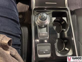 Ford Edge  picture 17