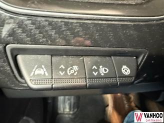 Renault Arkana  picture 23